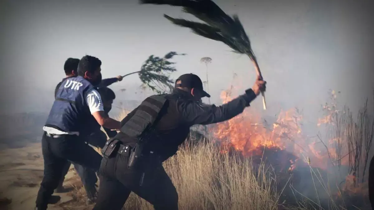Incendio en el Cerro Zapotecas.