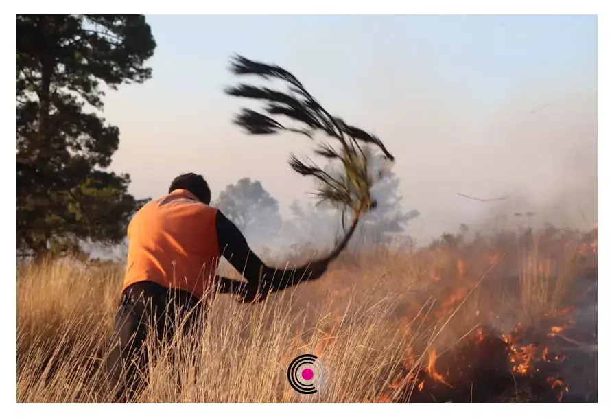 Incendio en el Cerro Zapotecas.