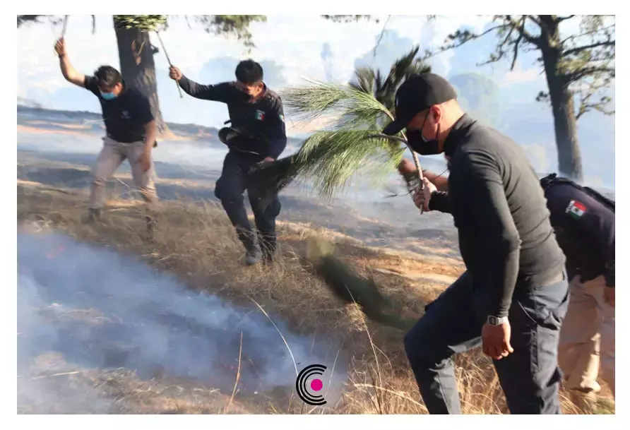 Incendio en el Cerro Zapotecas.