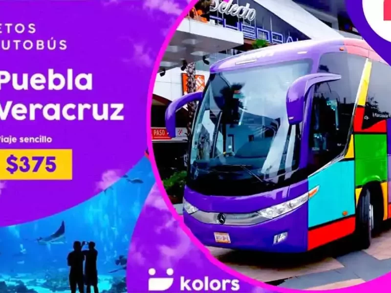 Kolors, empresa de transporte terrestre.