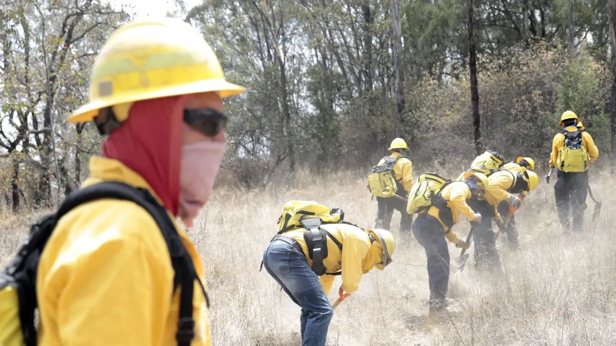 Incendios forestales en Puebla.