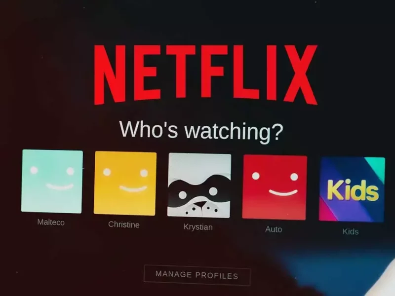 Netflix, plataforma de streaming.