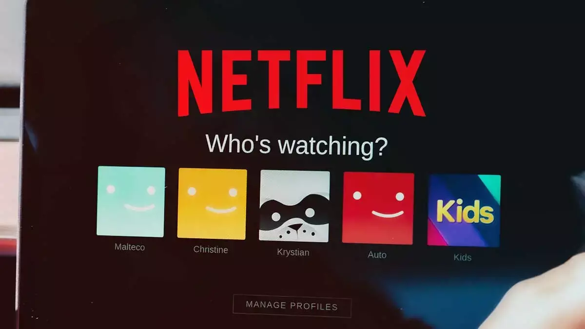 Netflix, plataforma de streaming.
