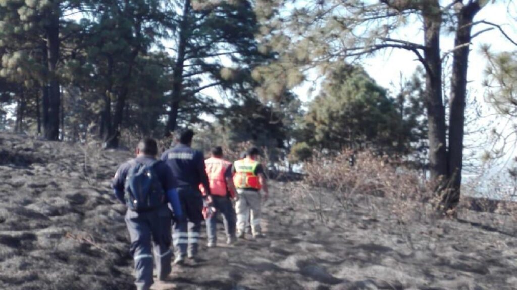 Bomberos de San Pedro sofocan incendio