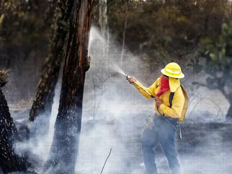Conoce el funcionamiento del Centro de Manejo de Fuego