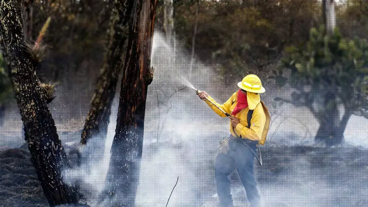 Conoce el funcionamiento del Centro de Manejo de Fuego