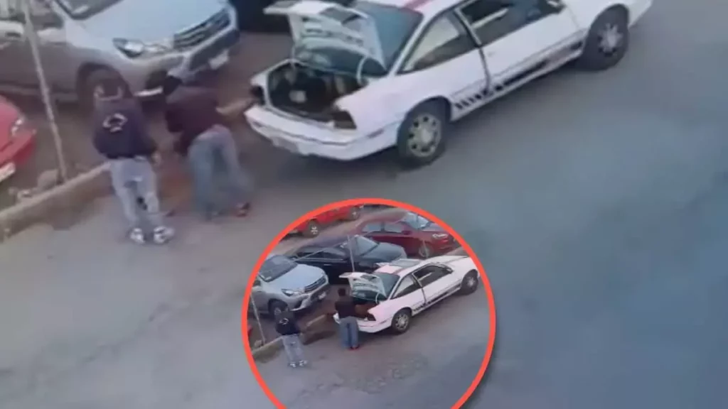 Abandonan a perrito en la Central de Abastos