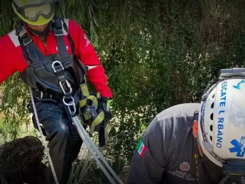 Hombre en estado ebriedad cae a una barranca.