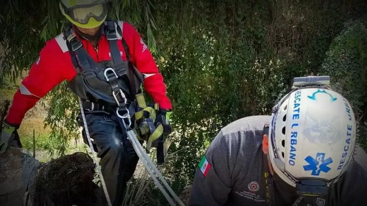 Hombre en estado ebriedad cae a una barranca.