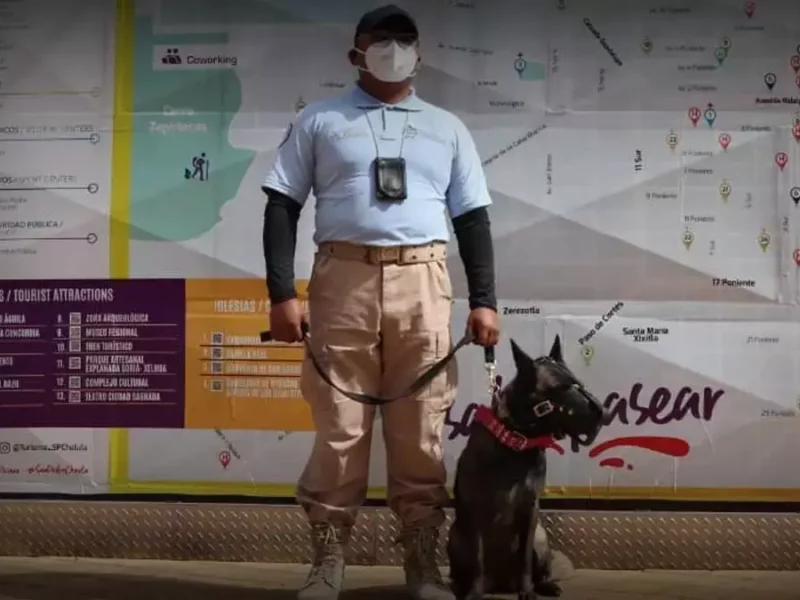 Policía vigilará seguridad en el equinoccio de primavera de este 2022