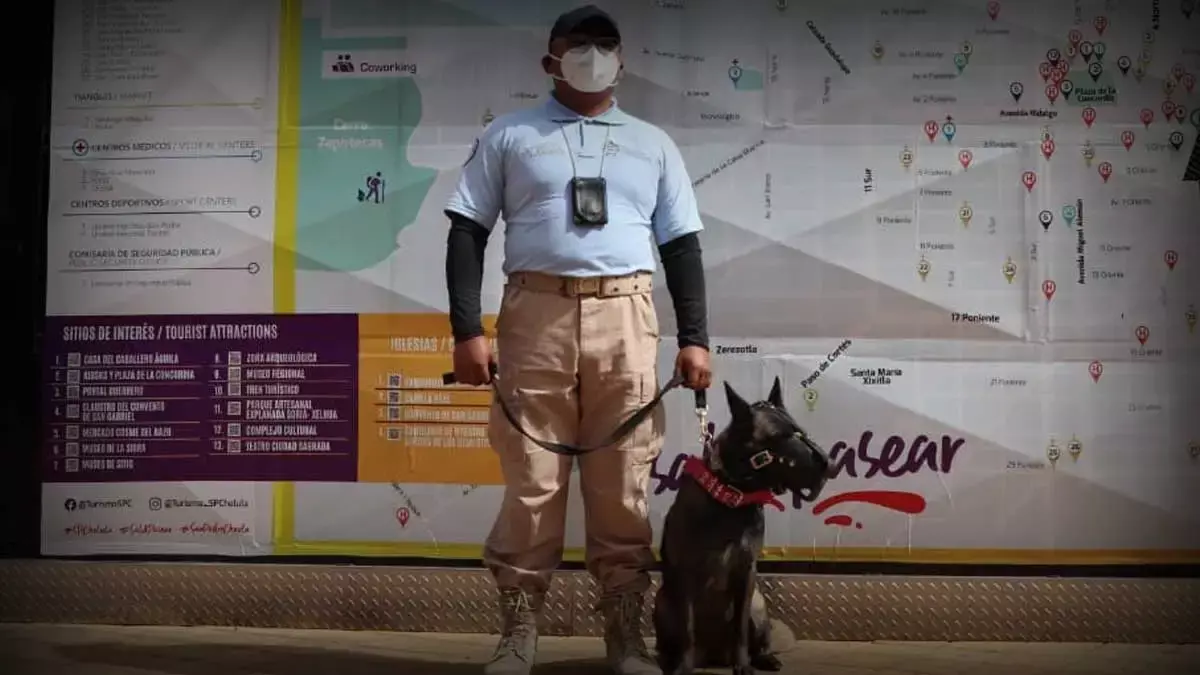 Policía vigilará seguridad en el equinoccio de primavera de este 2022