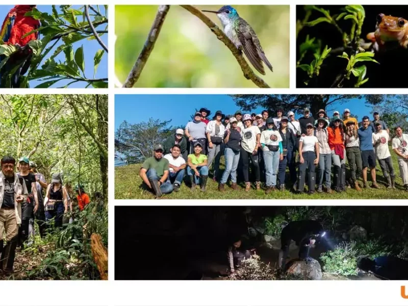 Estudiantes de Biología realizan prácticas de campo en una reserva ecológica.