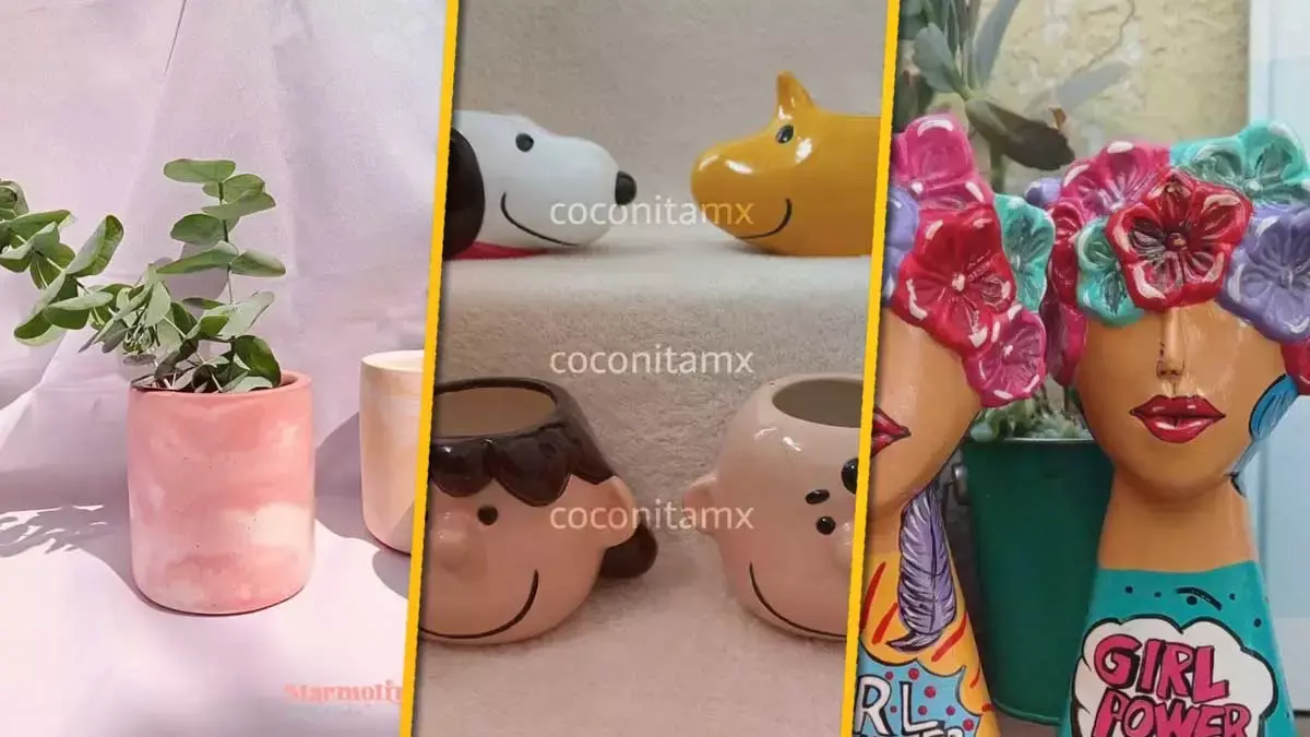 Dónde comprar macetas en Puebla para tus plantitas.