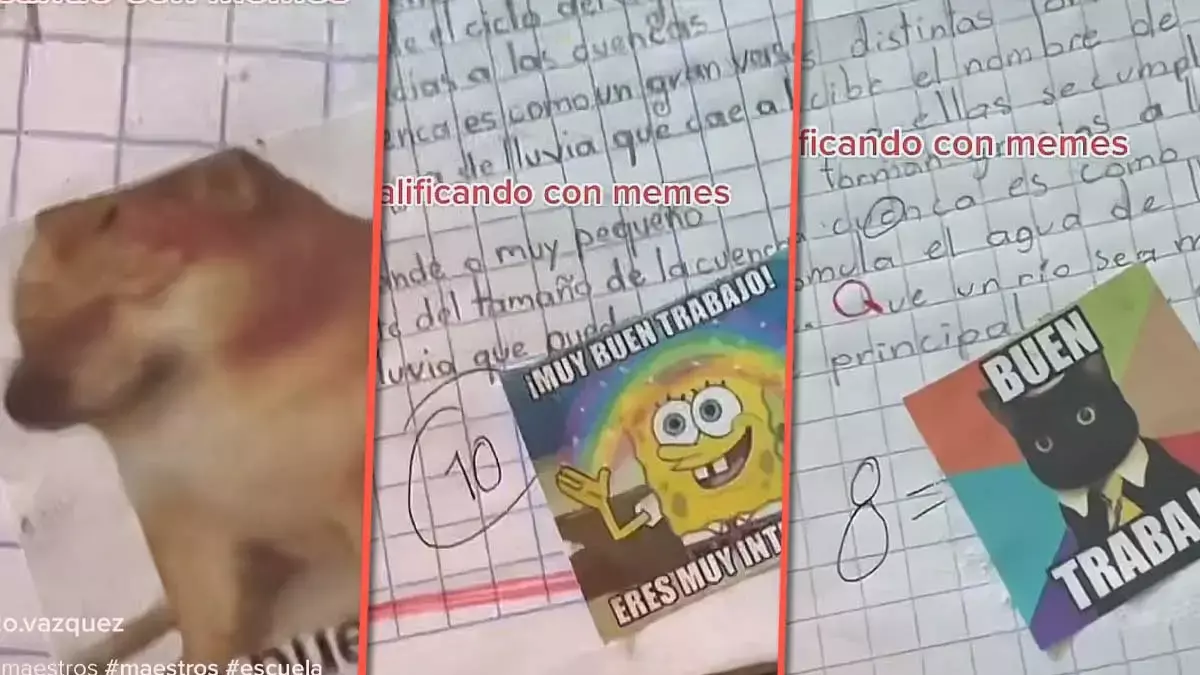 Maestro califica con memes y se hace viral.