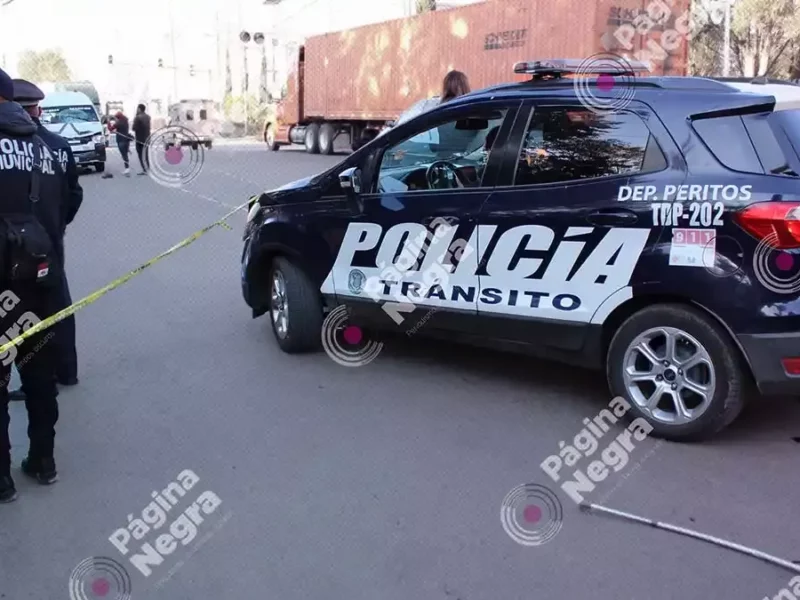 Atropellado en Bosques de Manzanilla.