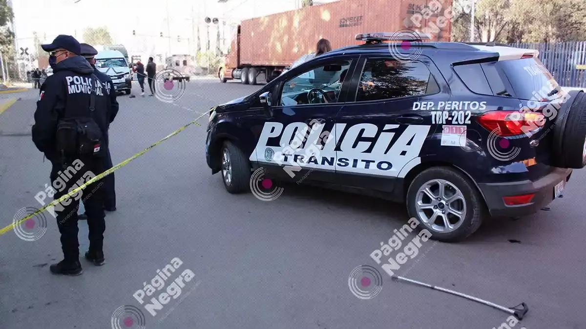 Atropellado en Bosques de Manzanilla.