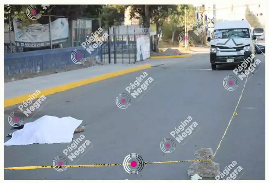 Atropellado en Bosques de Manzanilla.