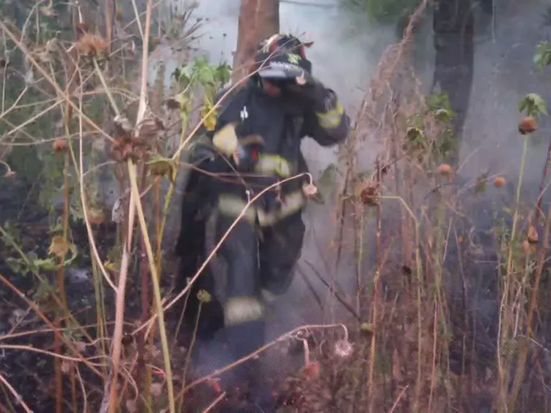 Bomberos apagaron incendios en pastizales en Puebla.