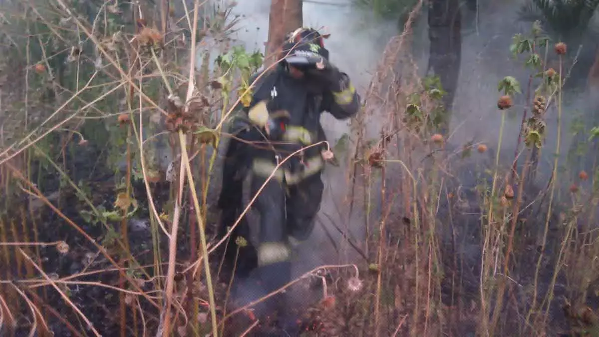Bomberos apagaron incendios en pastizales en Puebla.