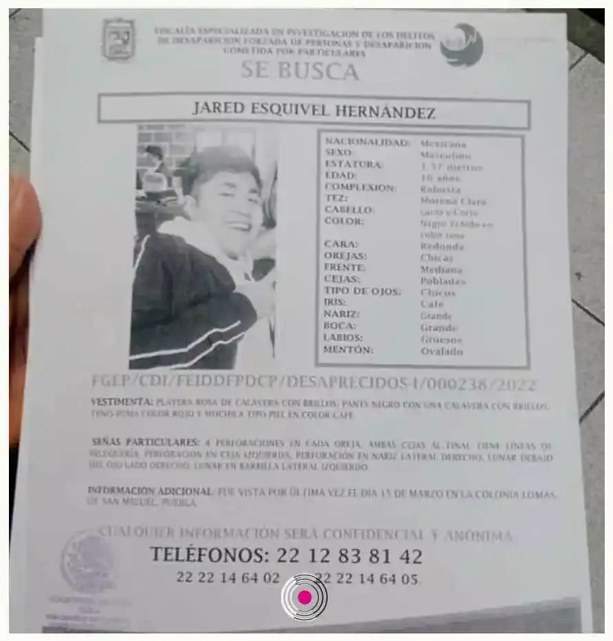 Adolescentes reportados como desaparecidos.