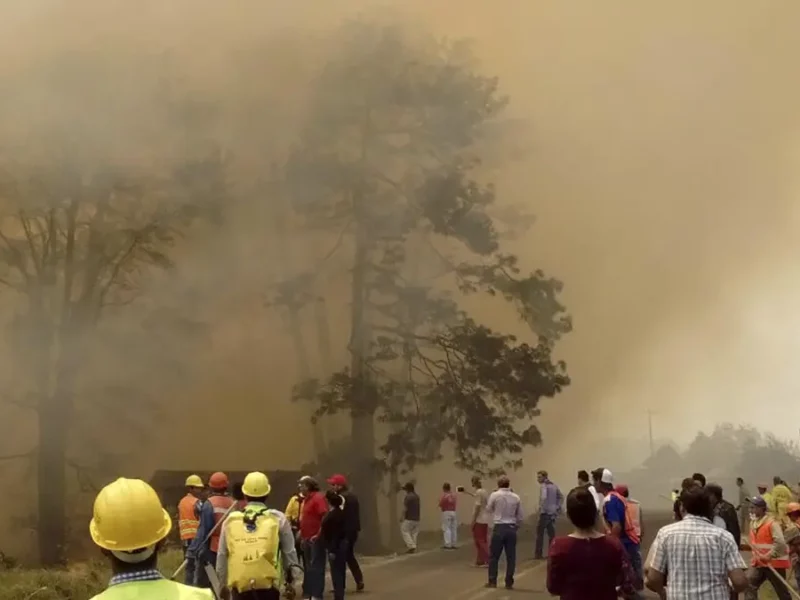 Incendios forestales en Puebla.