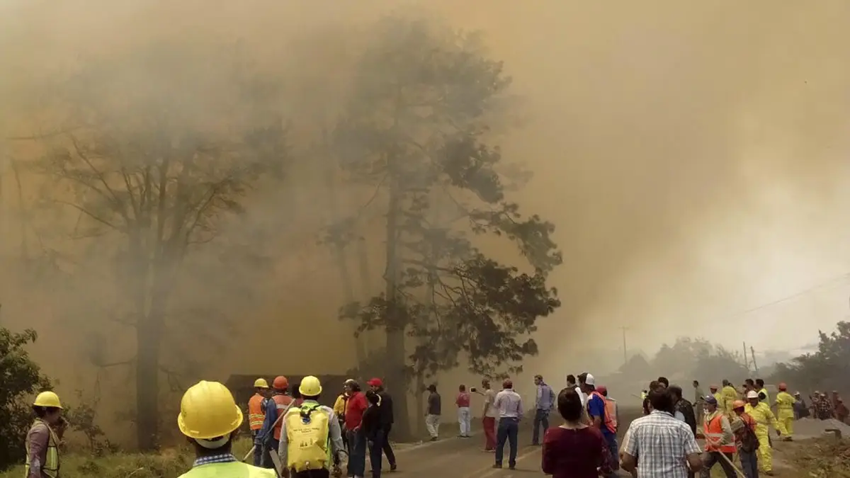 Incendios forestales en Puebla.