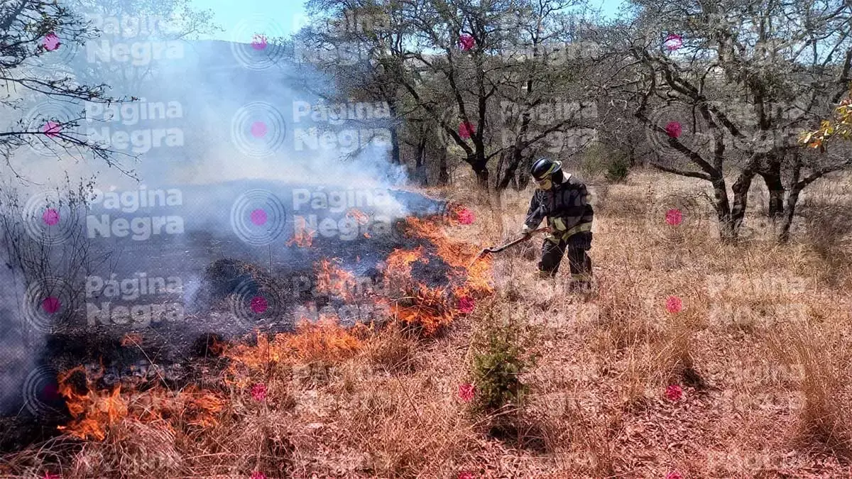 Incendio en Santo Tomás Chautla.