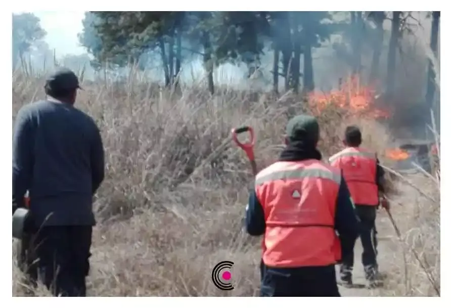 Incendio en Santo Tomás Chautla.