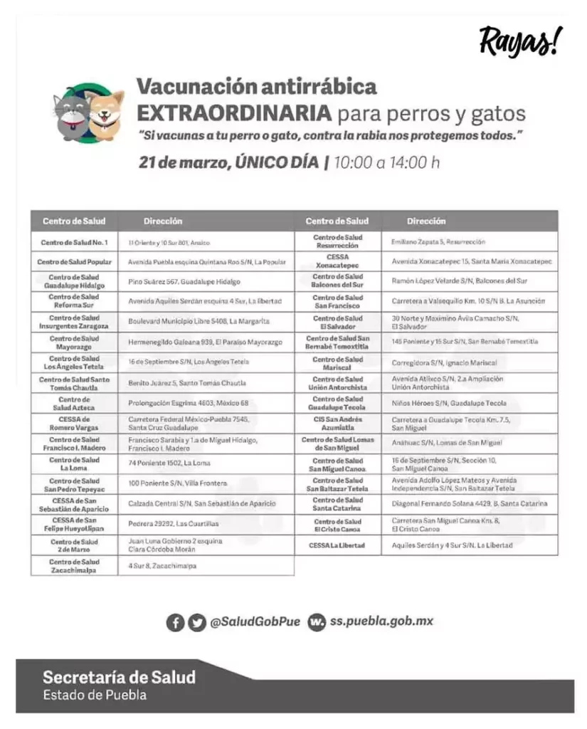 Semana de vacunación antirrábica en Puebla. Lleva a tu lomito
