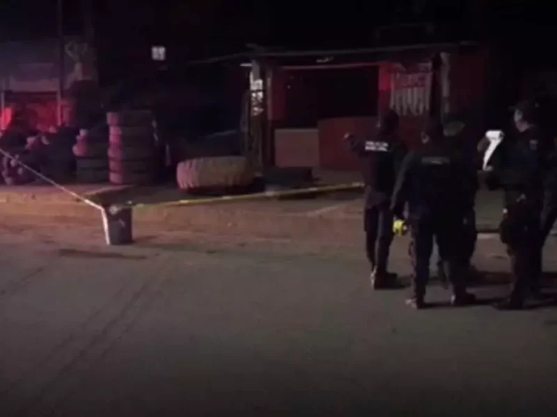 Perro pitbull en Xicotepec de Juárez.
