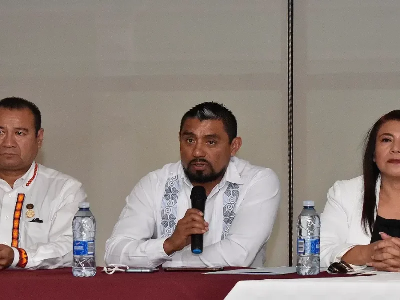 Diputados de otros estados promueven la reforma eléctrica