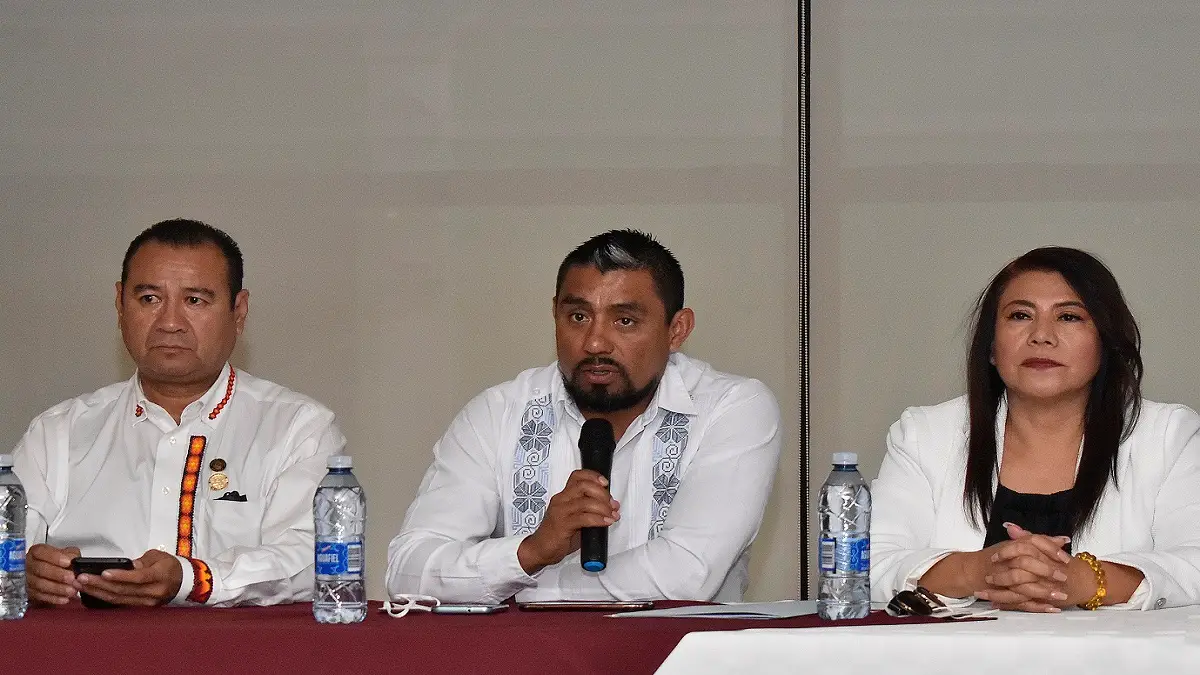 Diputados de otros estados promueven la reforma eléctrica
