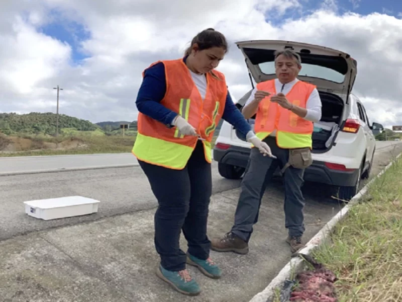 Investigador BUAP estudia patógenos en Brasil.