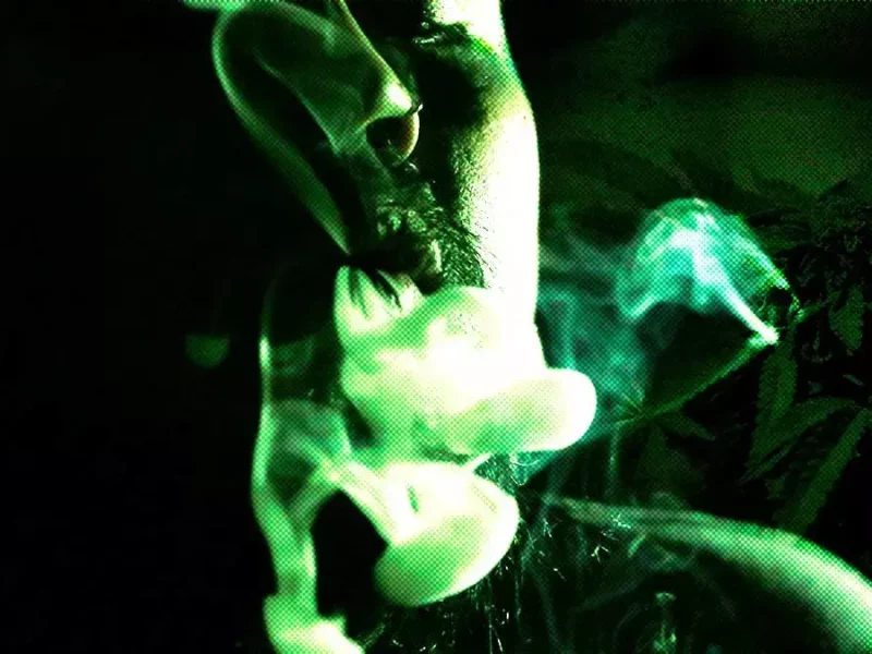 Eventos en Puebla para unirte a las celebraciones del 4:20