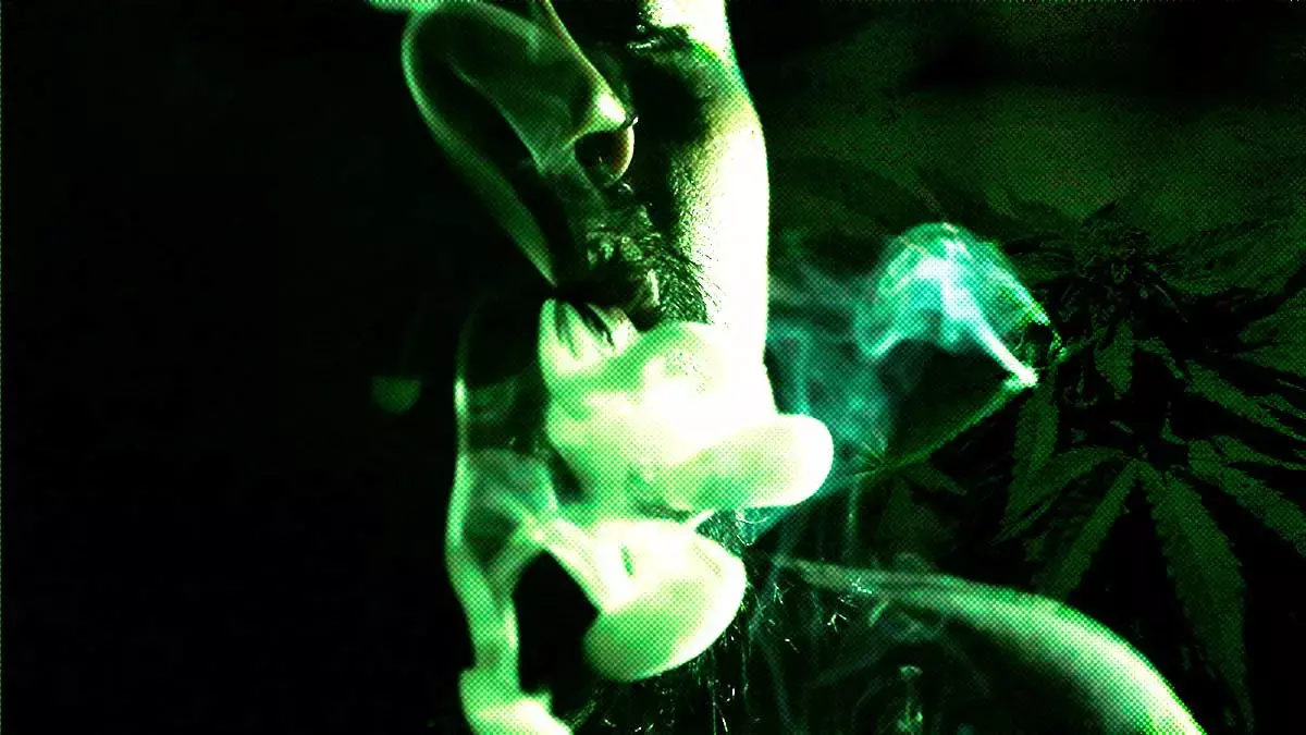 Eventos en Puebla para unirte a las celebraciones del 4:20