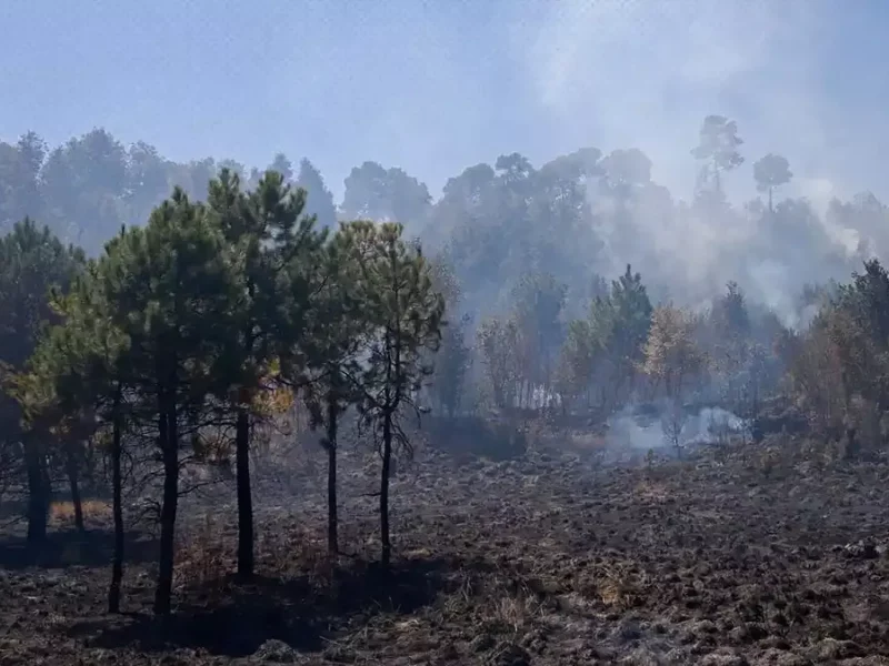 Hay dos incendios forestales activos en Tetela de Ocampo.