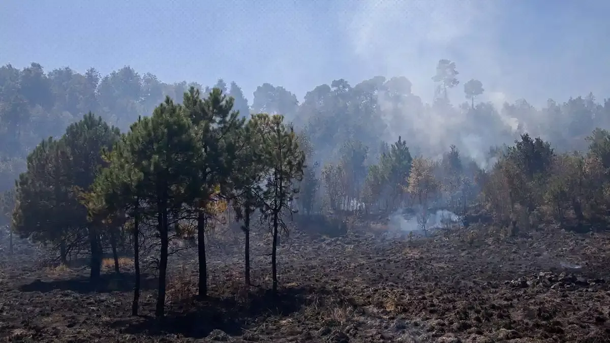 Hay dos incendios forestales activos en Tetela de Ocampo.