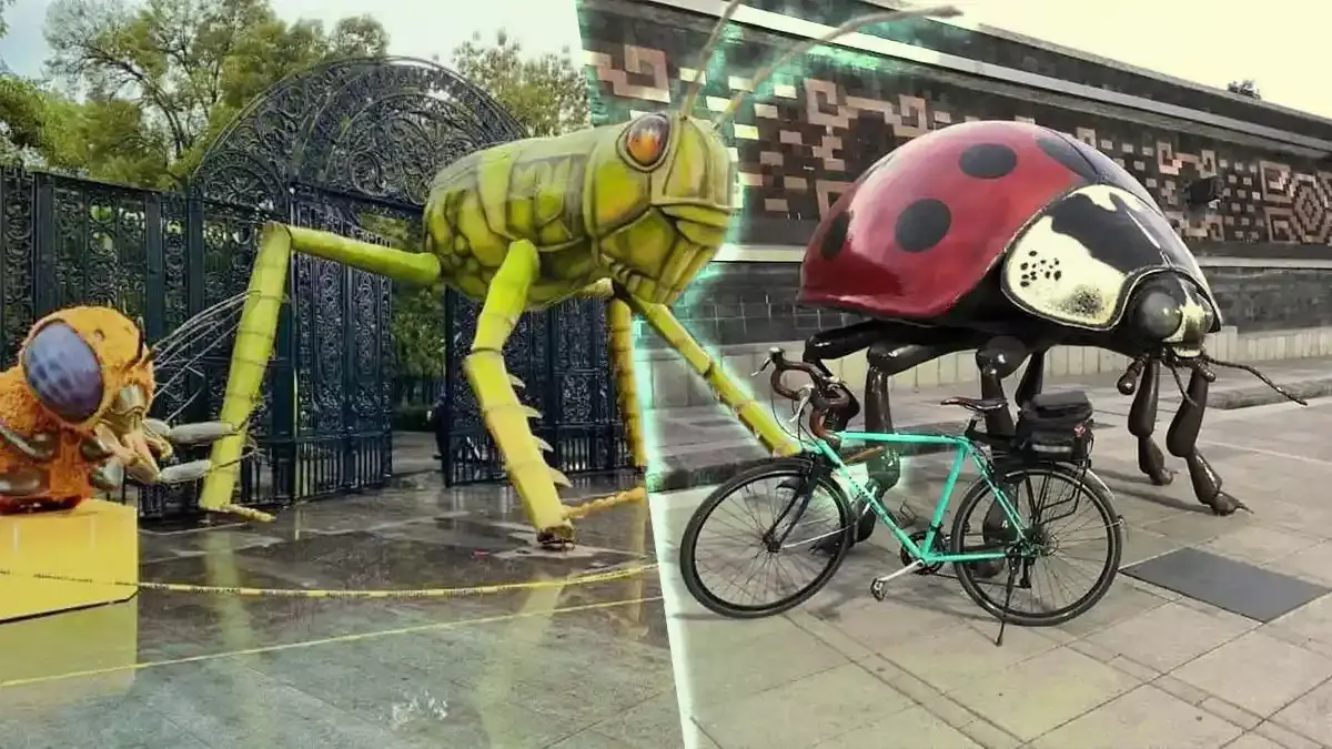 Insecta Festival en la CdMx.