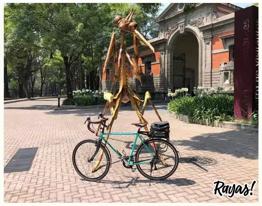 Insecta Festival en la CdMx.