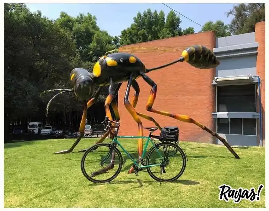 Insecta Festival en la CdMx.