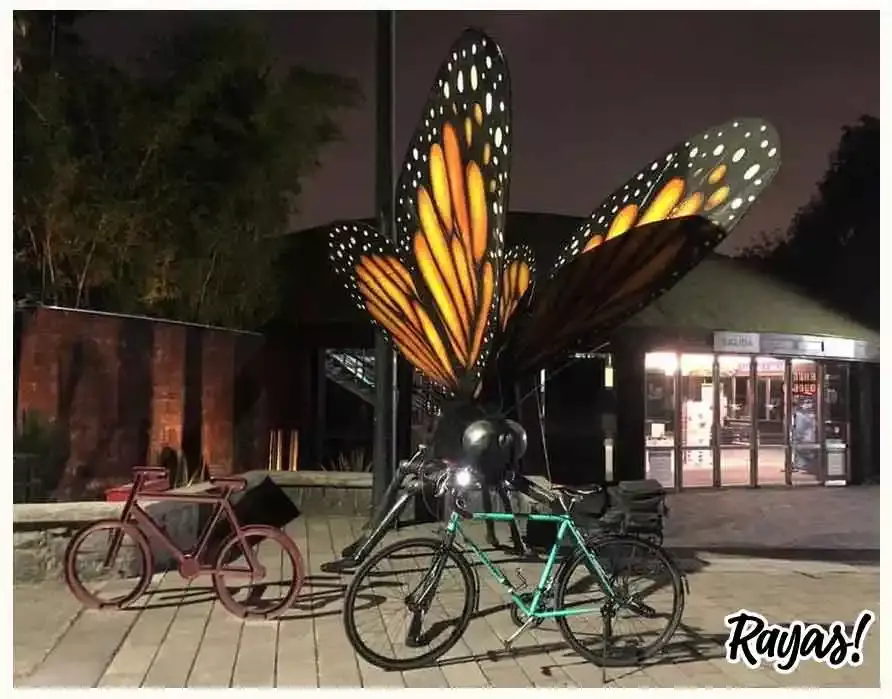 Insecta Festival en la CdMx.