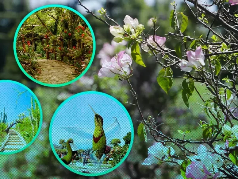 Jardines botánicos de Puebla