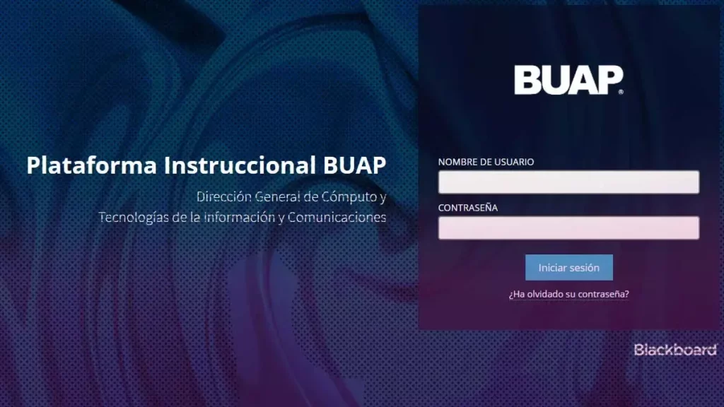 Blackboard BUAP