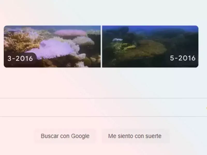 Efectos del cambio climático: el triste doodle de Google