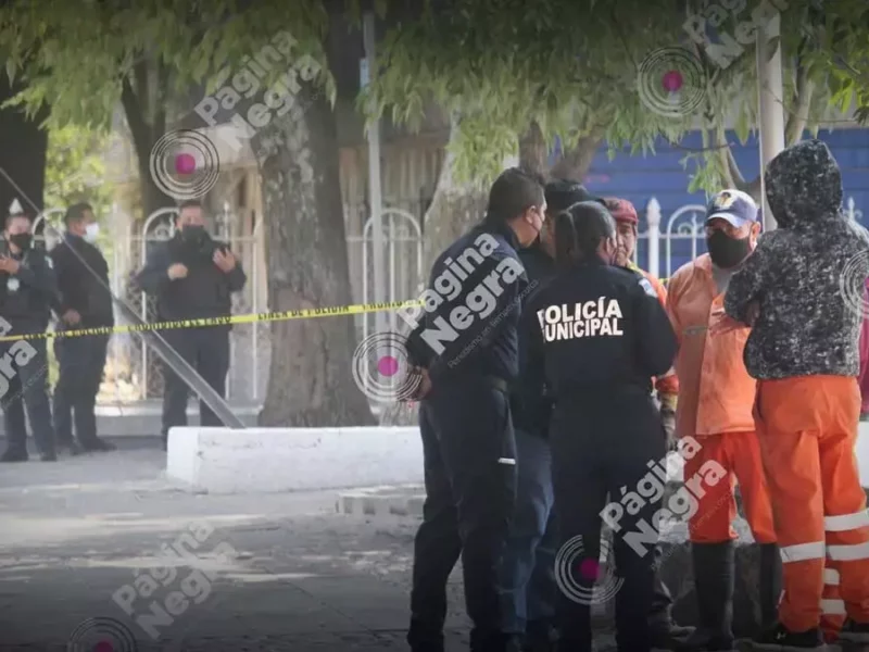 Hallan restos humanos embolsados en el parque de Las Ninfas.