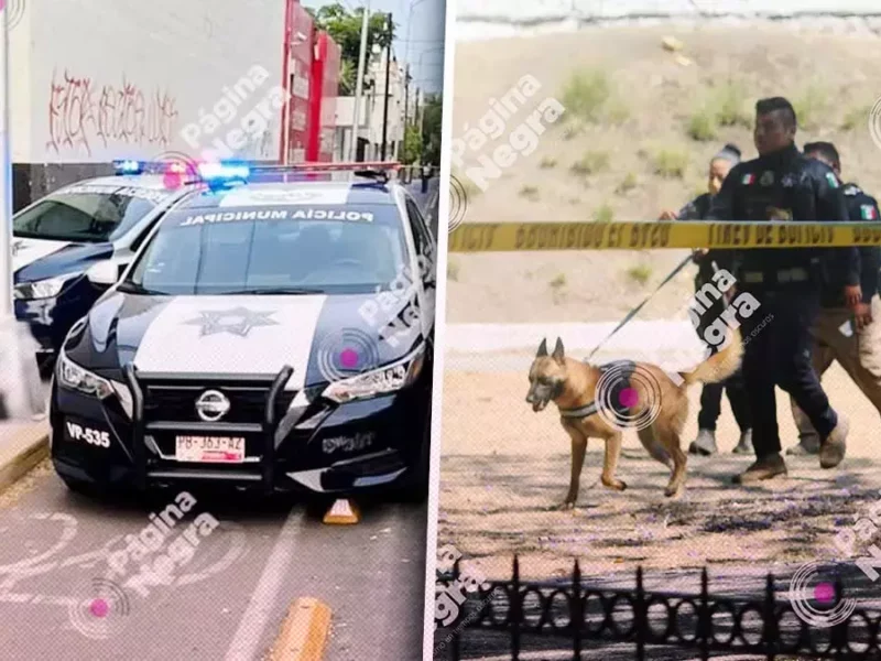Encuentran una cabeza humana embolsada frente al parque de Las Ninfas