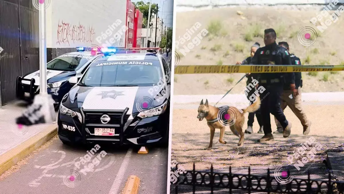 Encuentran una cabeza humana embolsada frente al parque de Las Ninfas