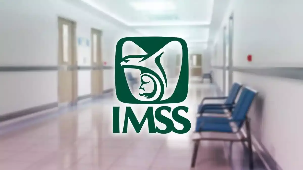 Hospital IMSS Amozoc.