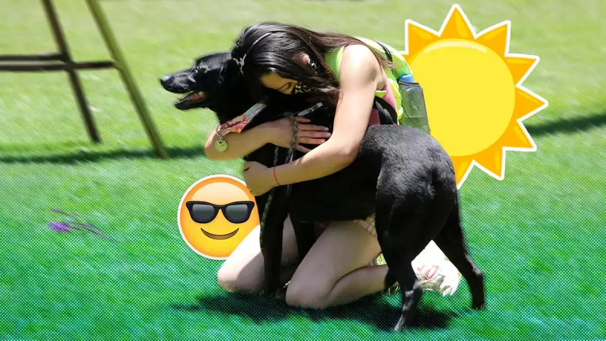 Tips para proteger a tu mascota del sol y el calor