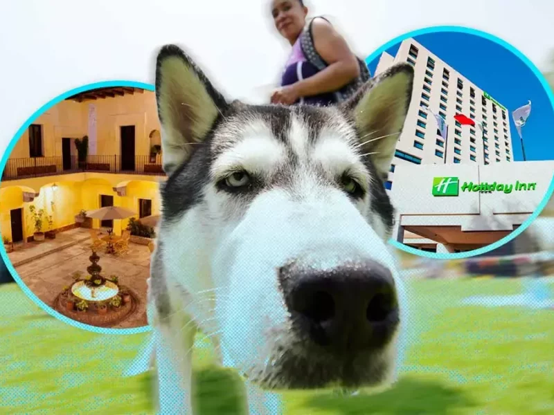 Hoteles pet friendly en Puebla